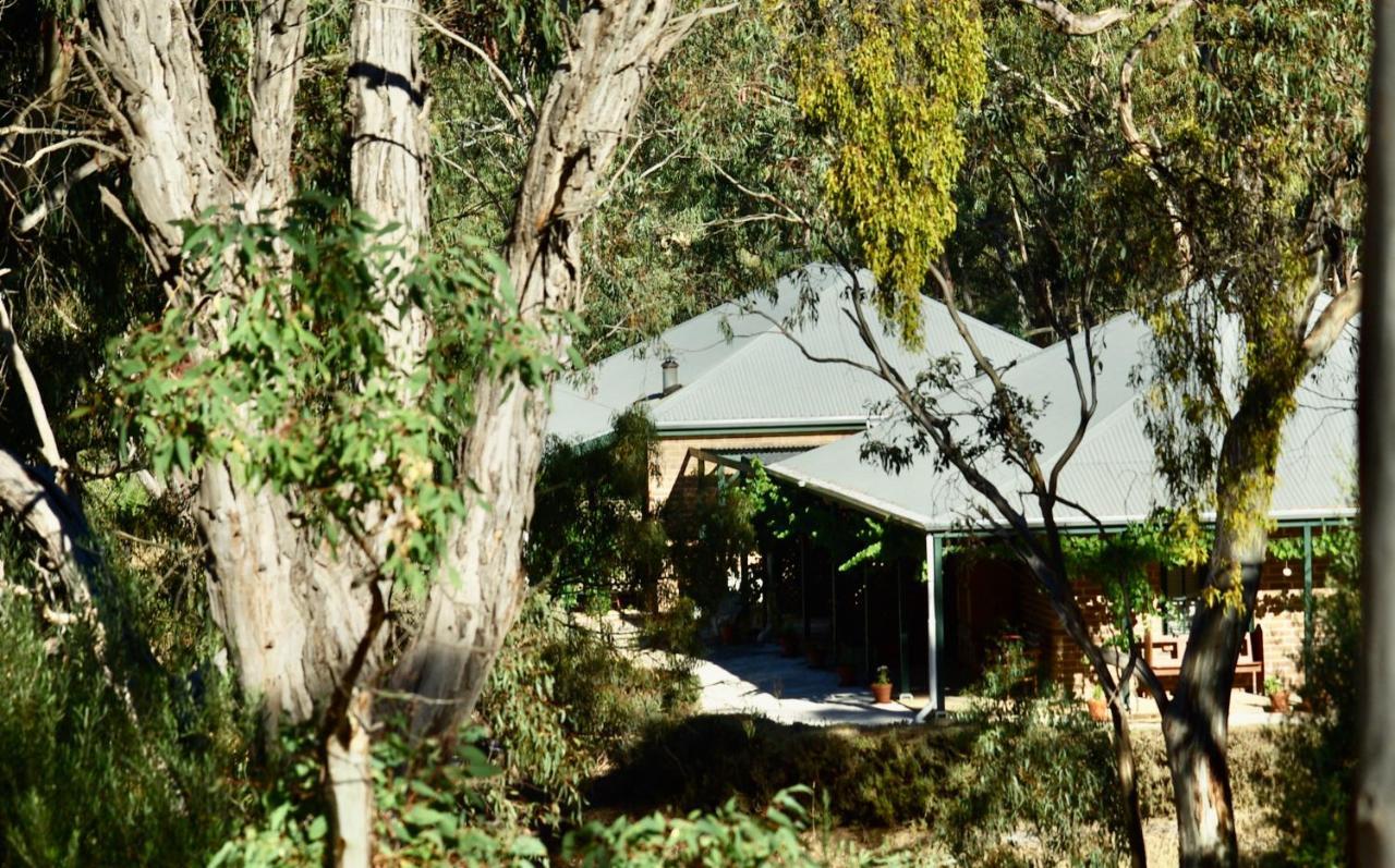 Battunga Cottages Watervale Bagian luar foto