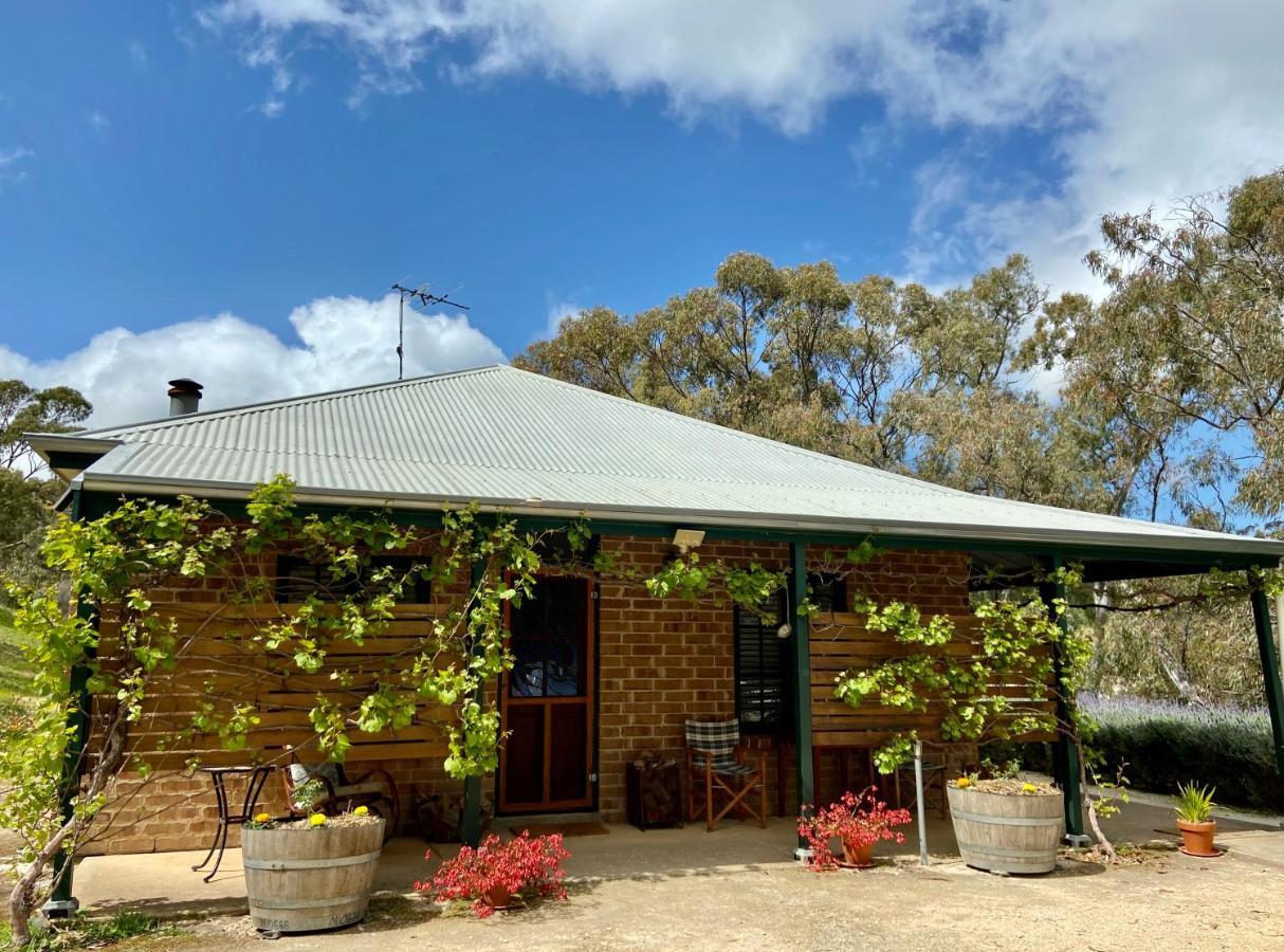 Battunga Cottages Watervale Bagian luar foto