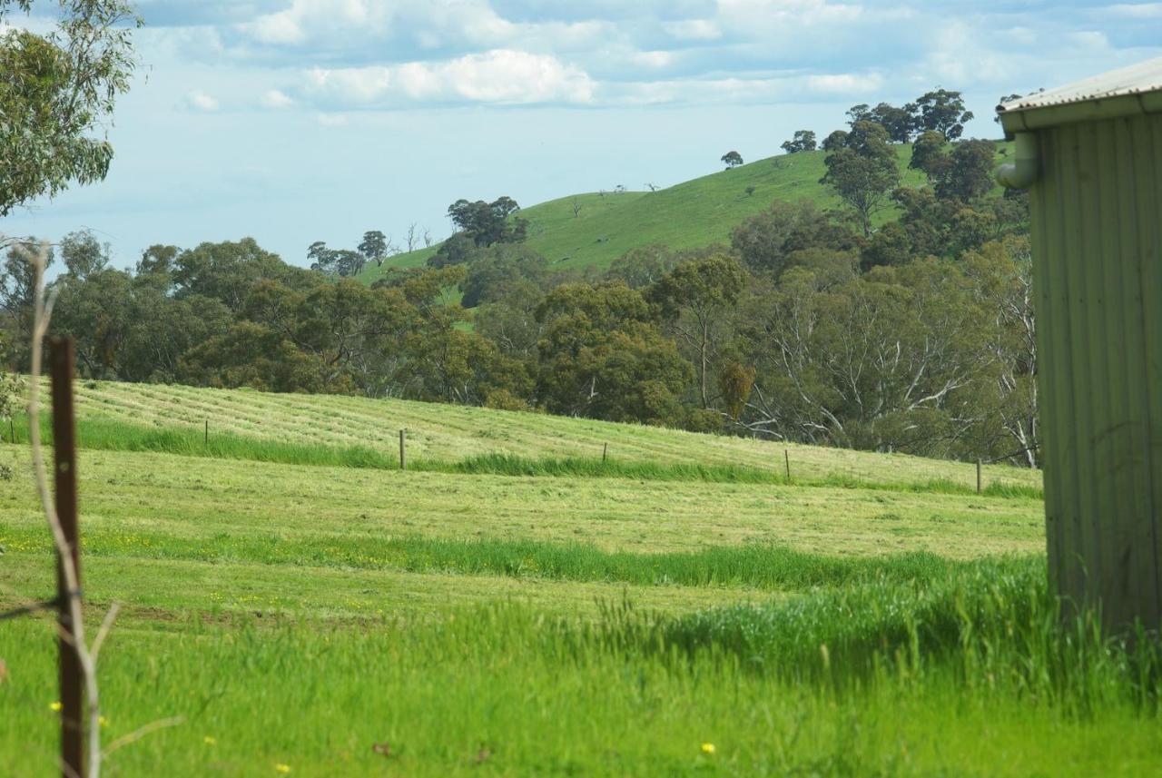 Battunga Cottages Watervale Bagian luar foto
