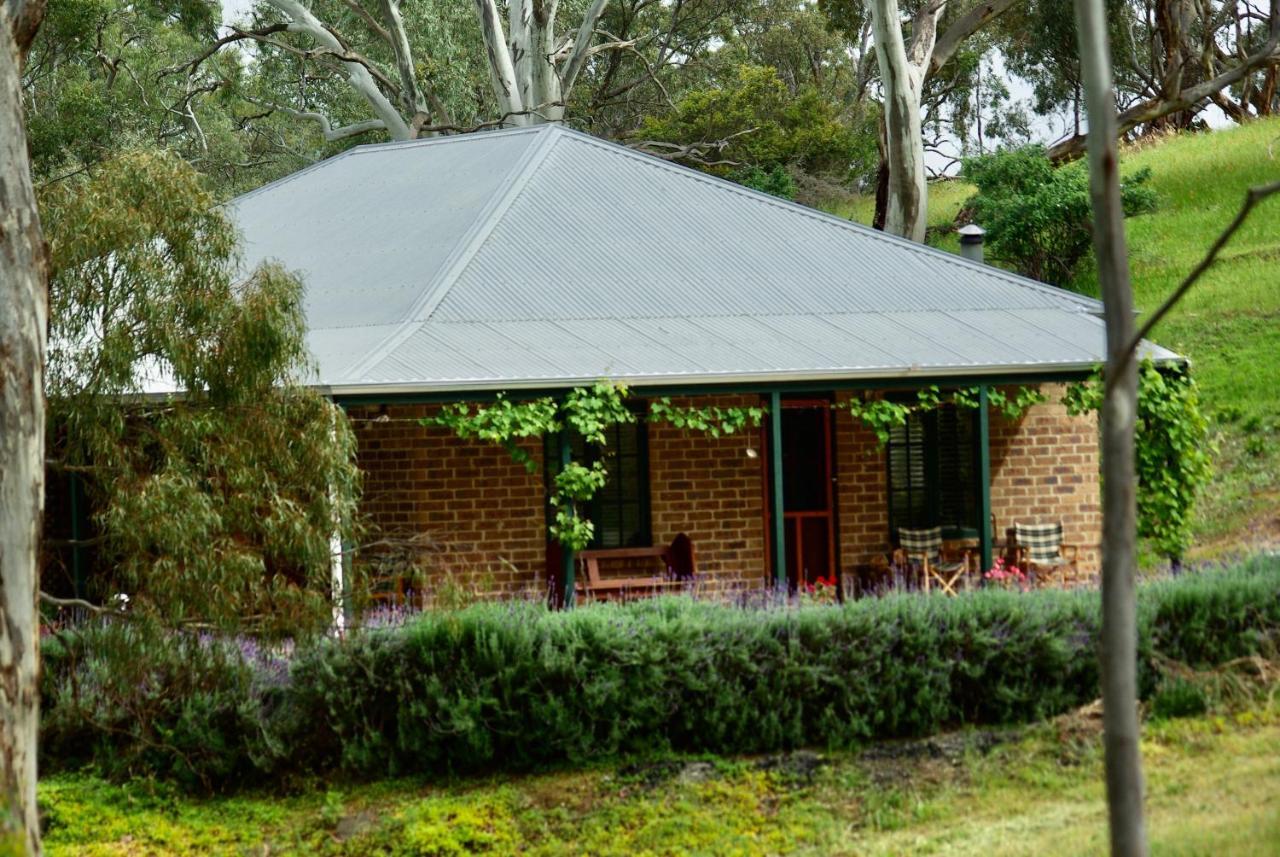 Battunga Cottages Watervale Bagian luar foto
