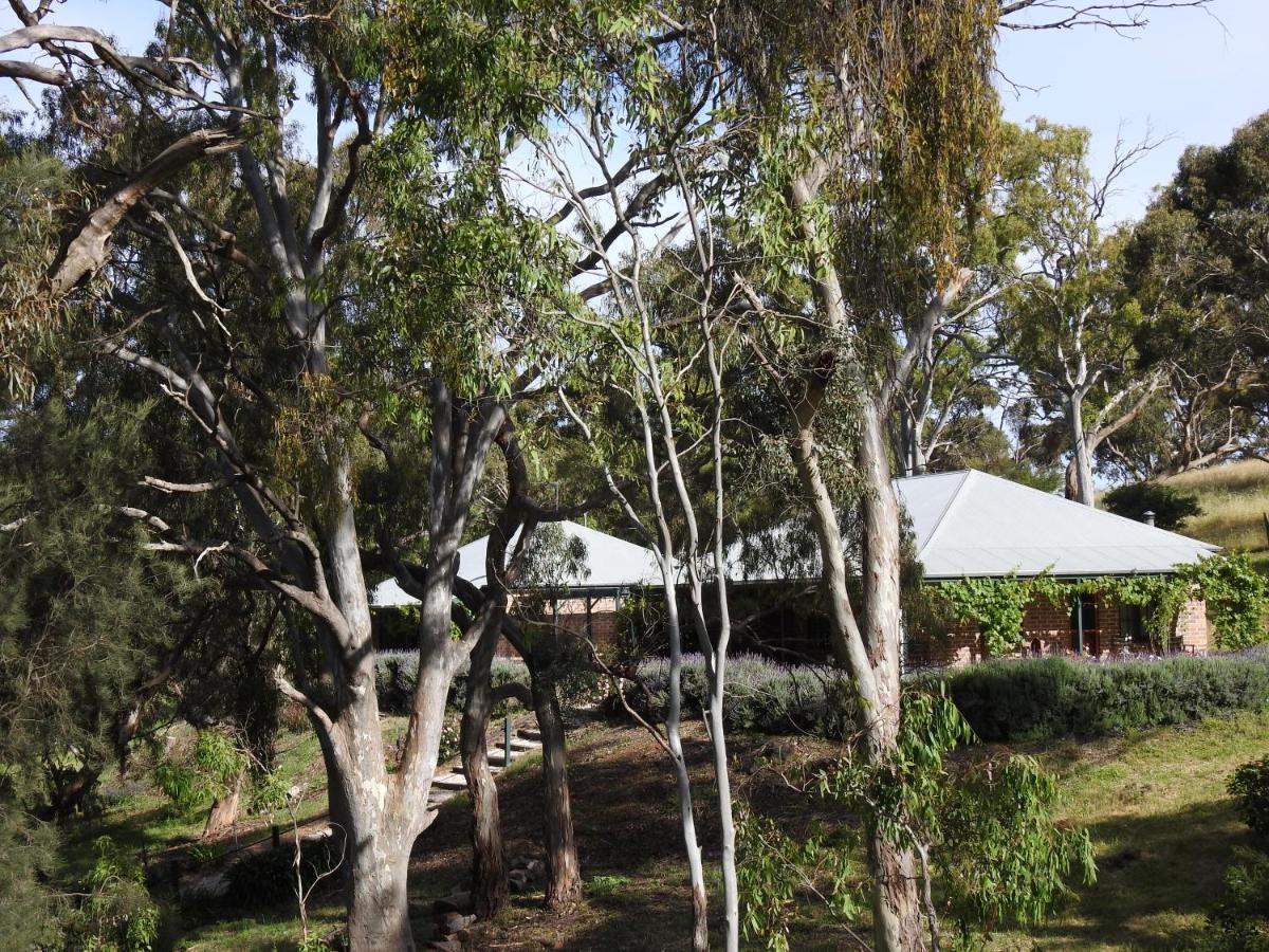 Battunga Cottages Watervale Bagian luar foto