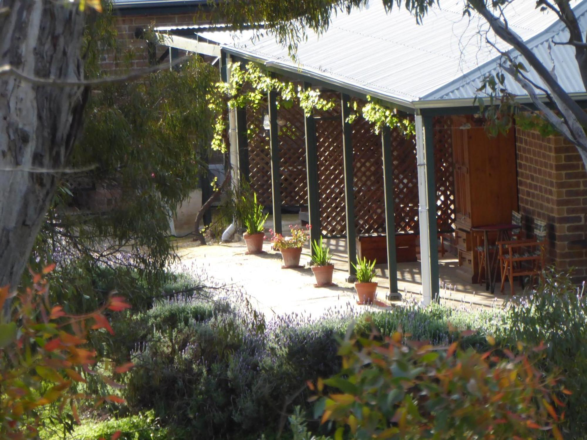 Battunga Cottages Watervale Bagian luar foto